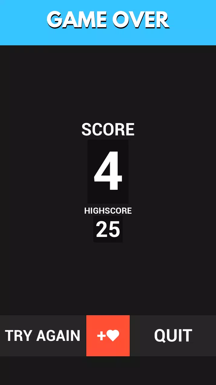FLAG GUESSER スクリーンショット 3