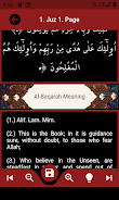 The Holy Quran and its Meaning Ekran Görüntüsü 4