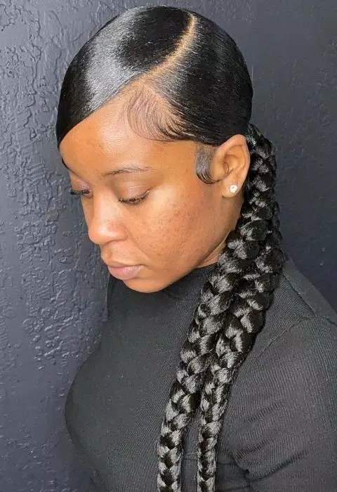 Sleek Braided Ponytail Styles 스크린샷 1