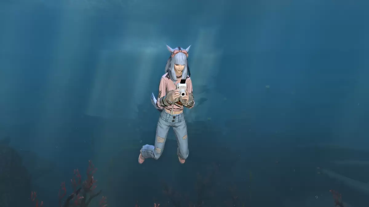 Underwater photograph emote