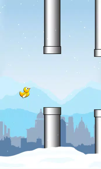 Duck Run Ekran Görüntüsü 2