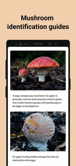 Picture Mushroom - Mushroom ID Скриншот 4