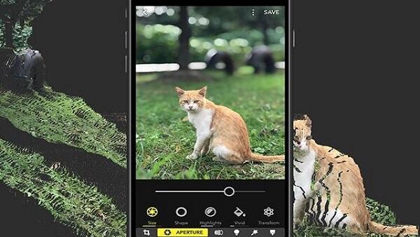 Video Bokeh Pixel 3 2022 Apk Muat turun