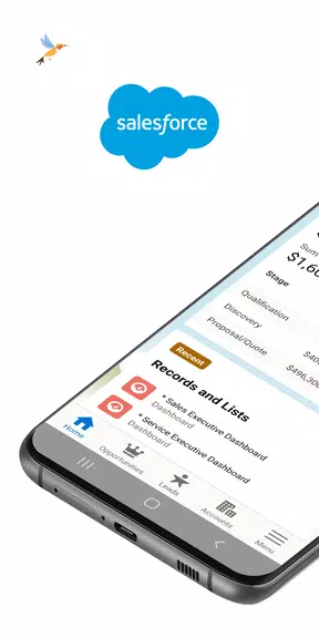 Salesforce Captura de tela 1