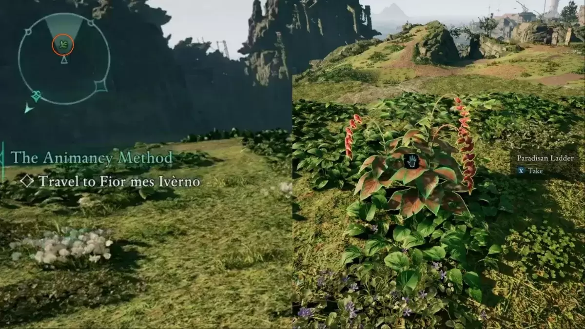 Avowed gameplay showing Paradisan Ladder location on mini-map