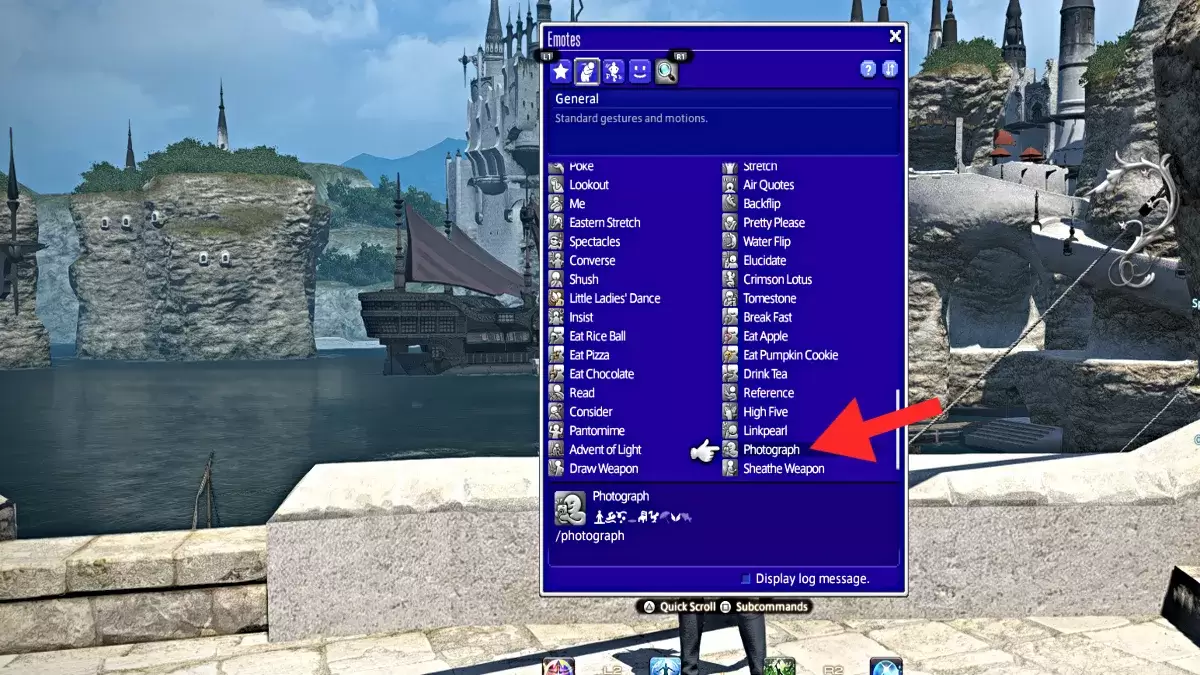 Photograph emote screenshot