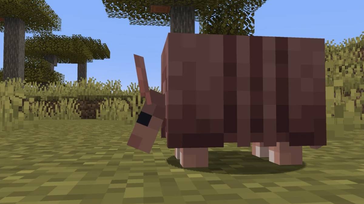 Paano makakuha ng mga scut ng Armadillo sa Minecraft