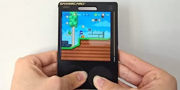 게이머카드: 포트나이트 크기의 라즈베리 파이에 담긴 아케이드 재미