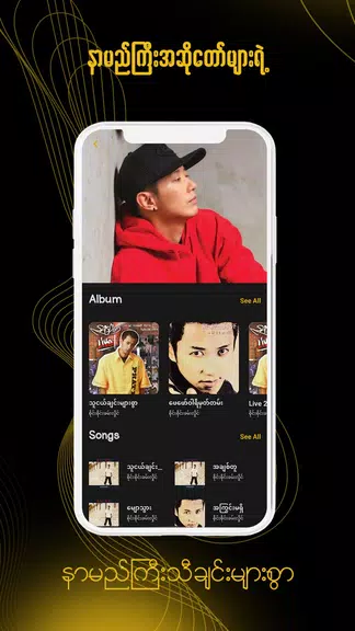 ရွှေနားဆင် Myanmar Audio Books Captura de tela 4