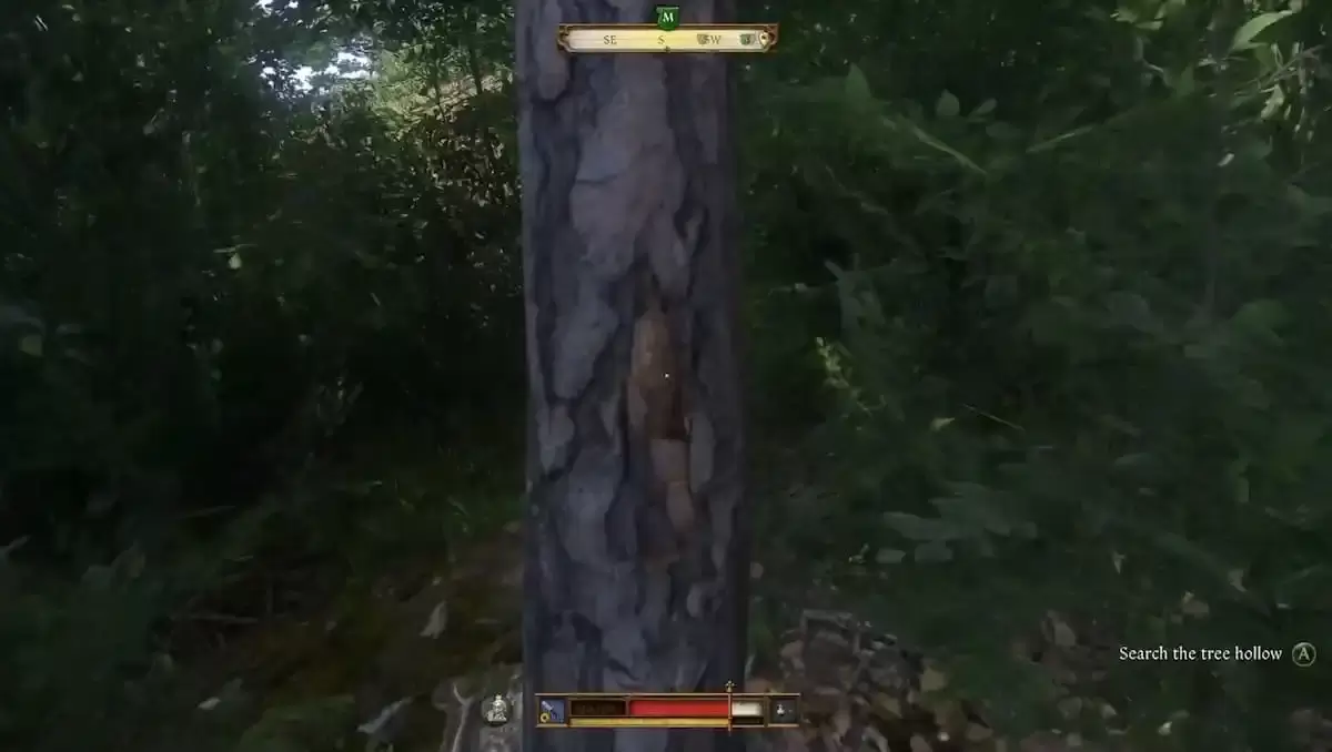 Detaillierte Ansicht des Baumes mit dem Buchstaben