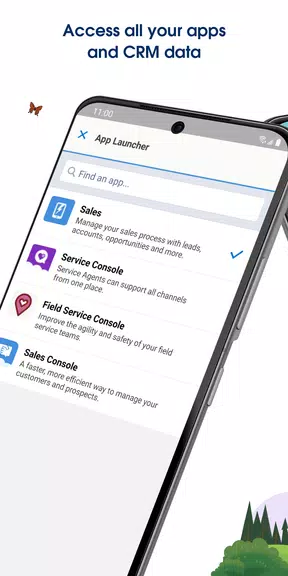 Salesforce Captura de tela 4