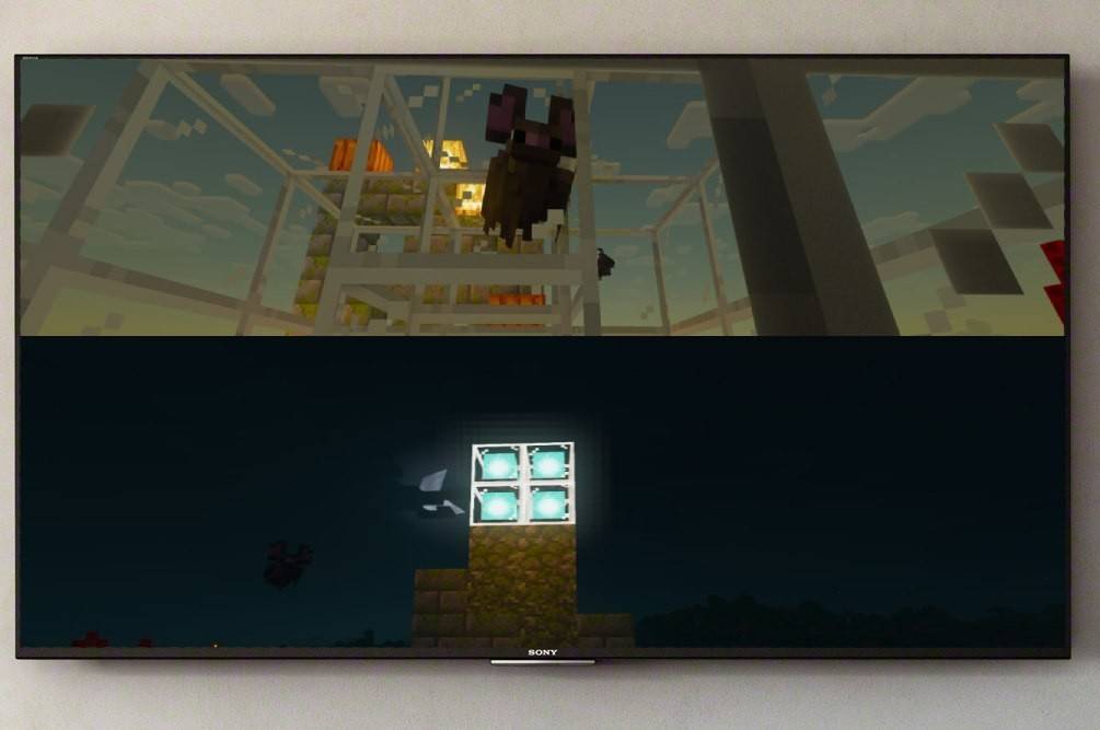 SplitScreen no Minecraft