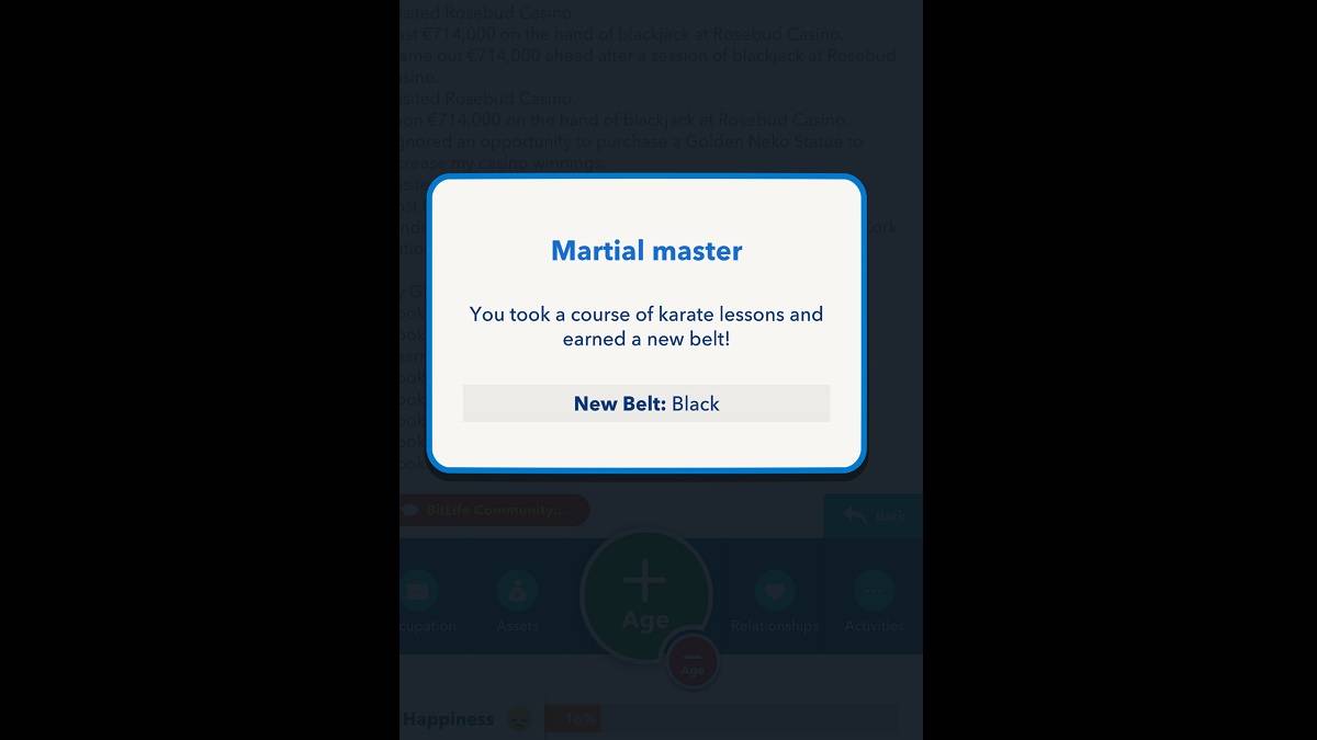 Bitlife Black Belt guadagnata
