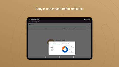 Schermata Protelion VPN 4