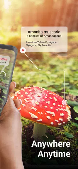 Picture Mushroom - Mushroom ID Скриншот 2