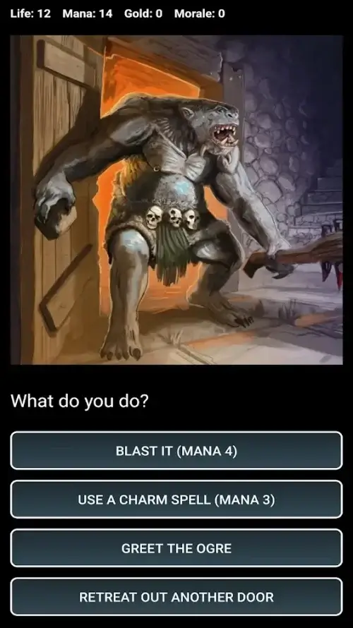 Dungeons and Decisions RPG Ekran Görüntüsü 3