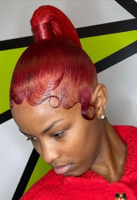 Sleek Braided Ponytail Styles 스크린샷 2