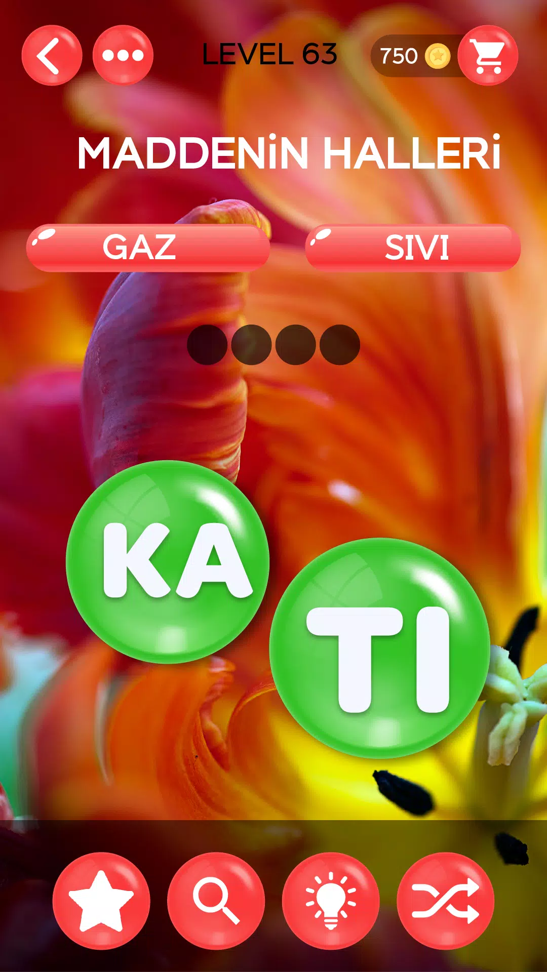 Kelime Şöleni 스크린샷 4