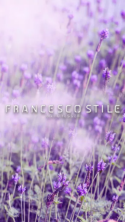 Francesco Stile 스크린샷 1