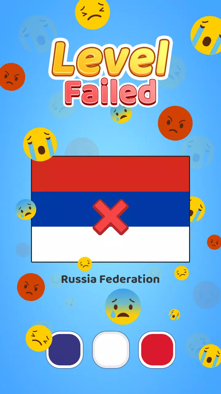 Painting Flags: Color ASMR應用截圖第3張