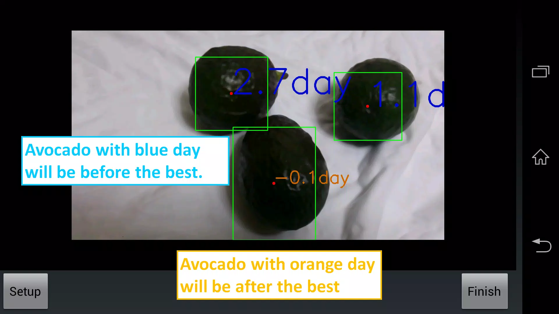 Avocado Checker スクリーンショット 4