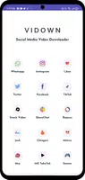 Video downloader - Vidown Скриншот 1