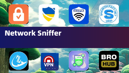 Network Sniffer