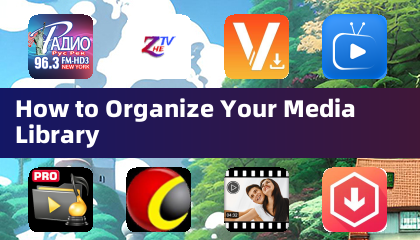 如何整理您的媒體資料庫